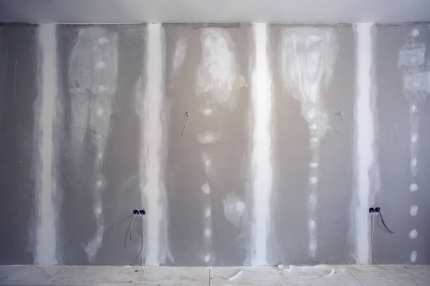 Hannahs Mill, GA Mold Removal Company